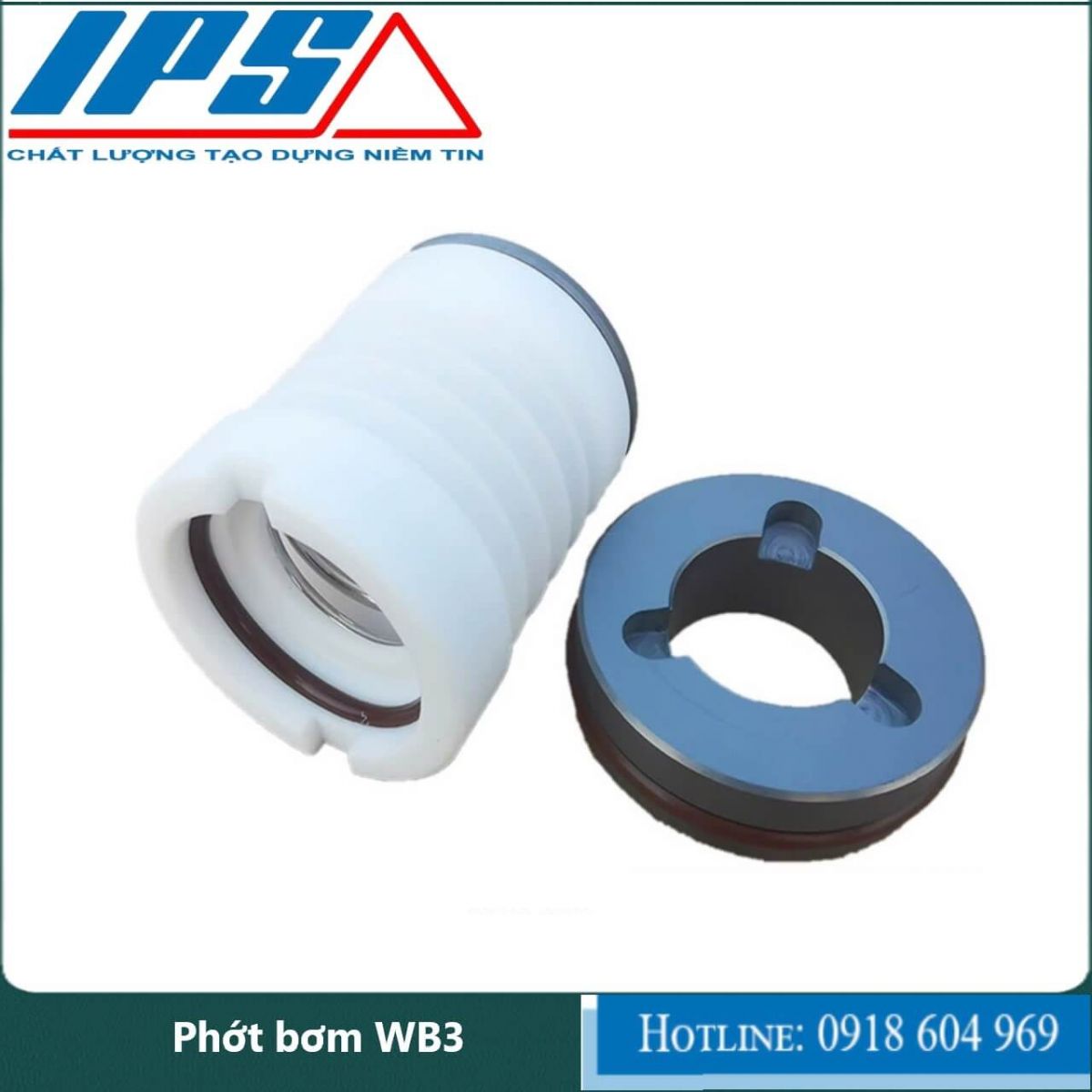 Phớt bơm WB3-3(1)